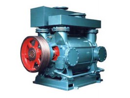 2BE係列水環真空泵