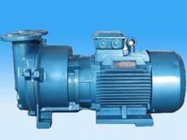 2BY係列（liè）真空泵